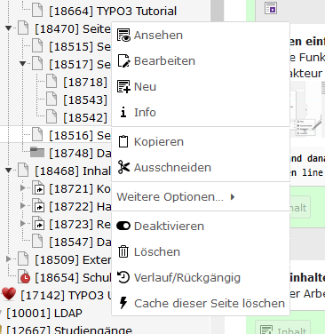 Seitenverwaltung