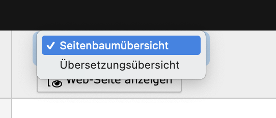 Modul Info Dropdown Ansichten